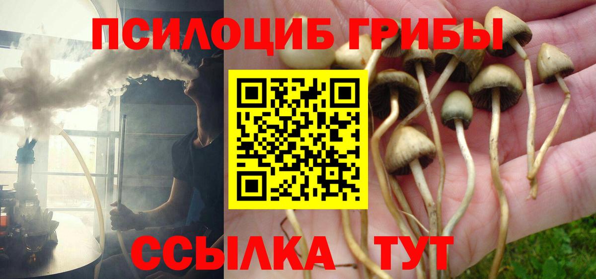 Миасс  Галлюциногенные грибы мицелий  закладки  Галлюциногенные грибы прущие грибы  Вход с VPN 